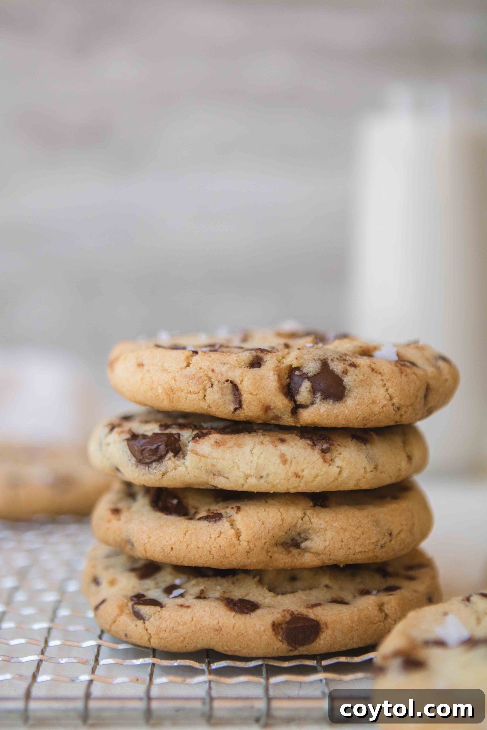 featured 10566 scaled