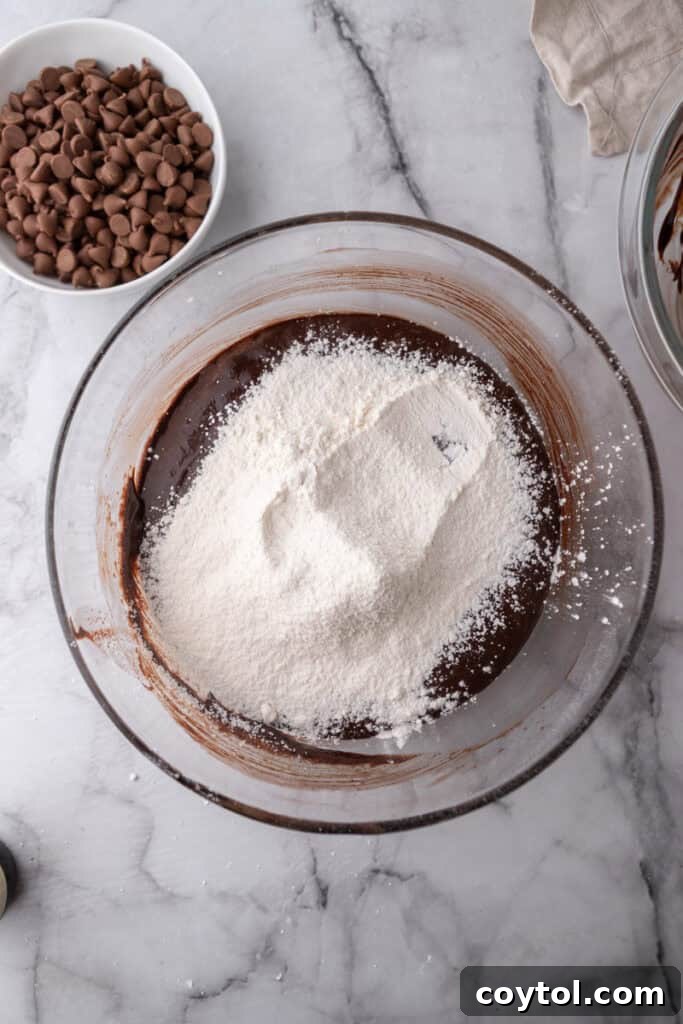 chocolate mixture with flour in a bowl