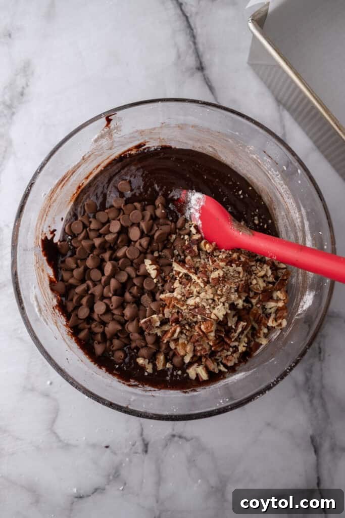 Brownie batter with chocolate chips and nuts