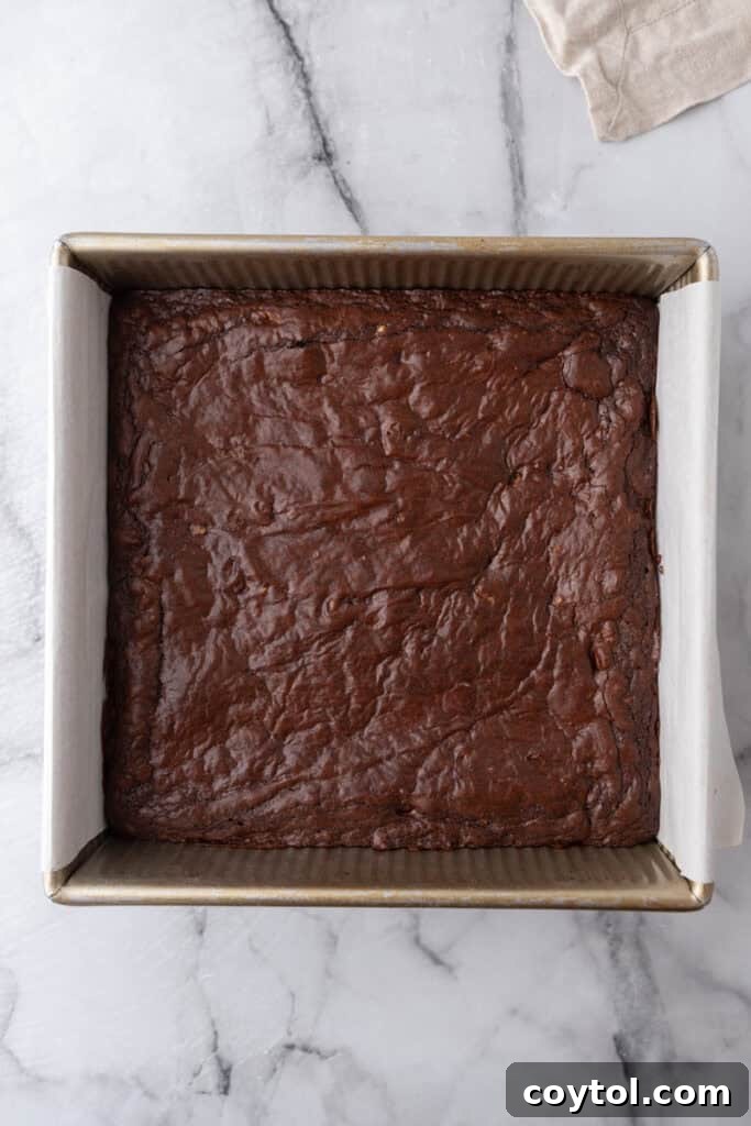 Baked brownie in a pan