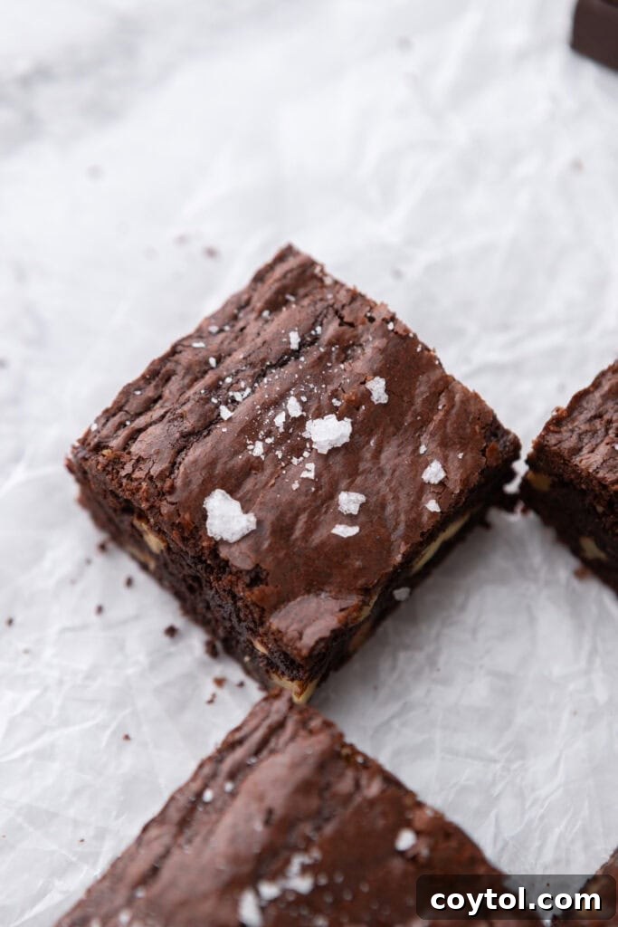 Fudgy brownie square