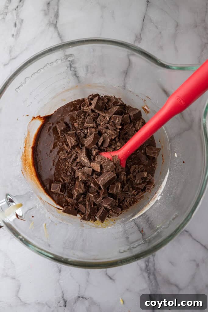 Dry ingredients being folded into brownie batter with chocolate chips