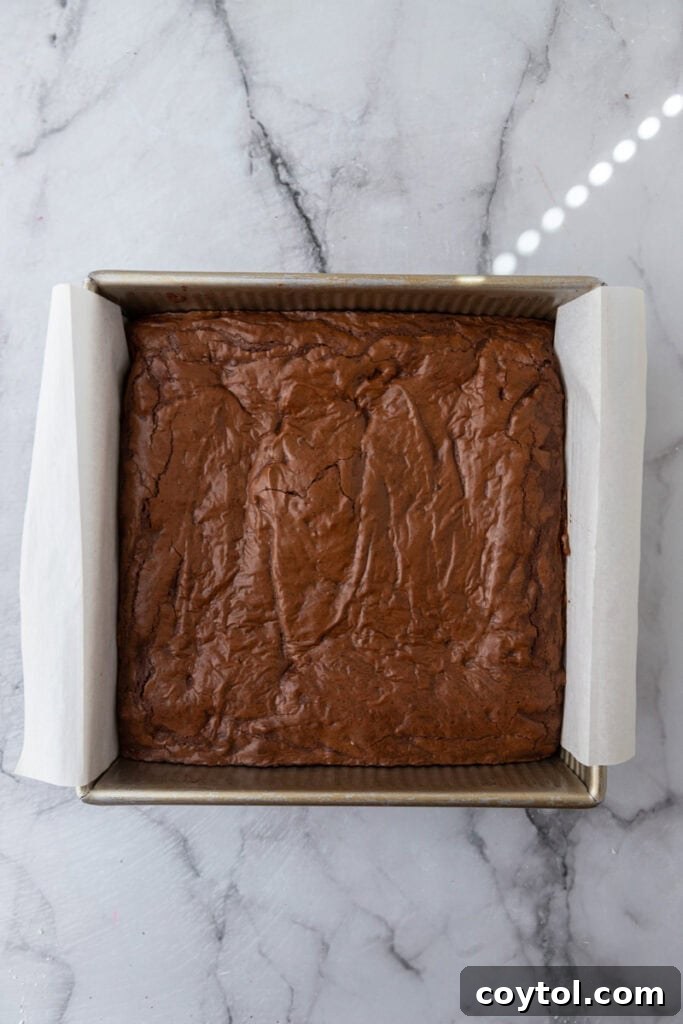 Freshly baked brownies in the pan, showing their crackly top