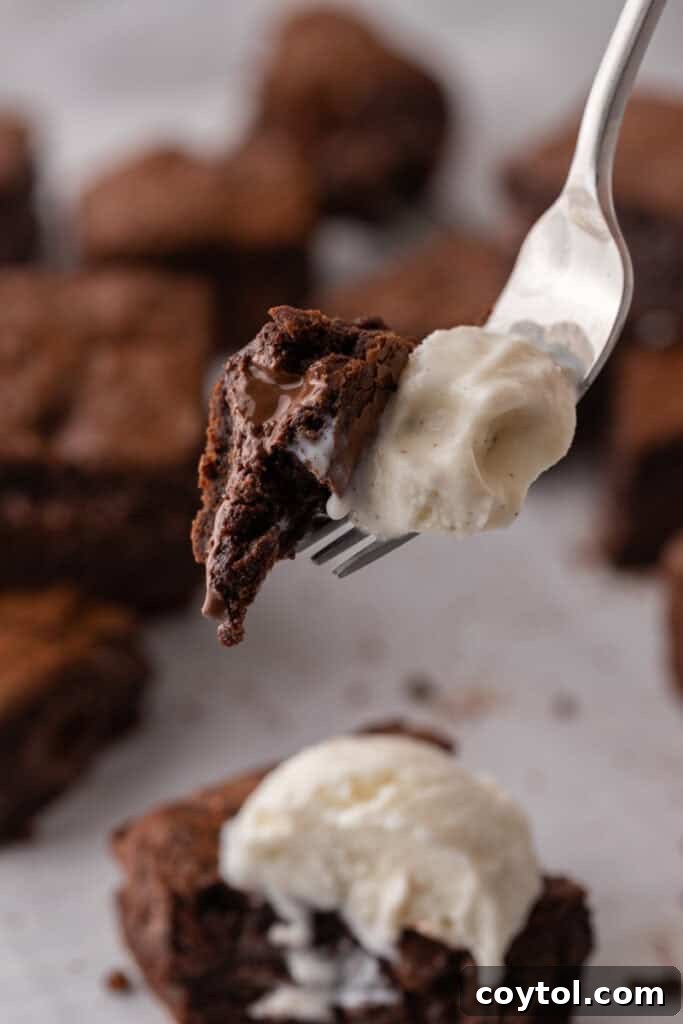 Fork with a bite of fudgy brownie, showing its moist interior