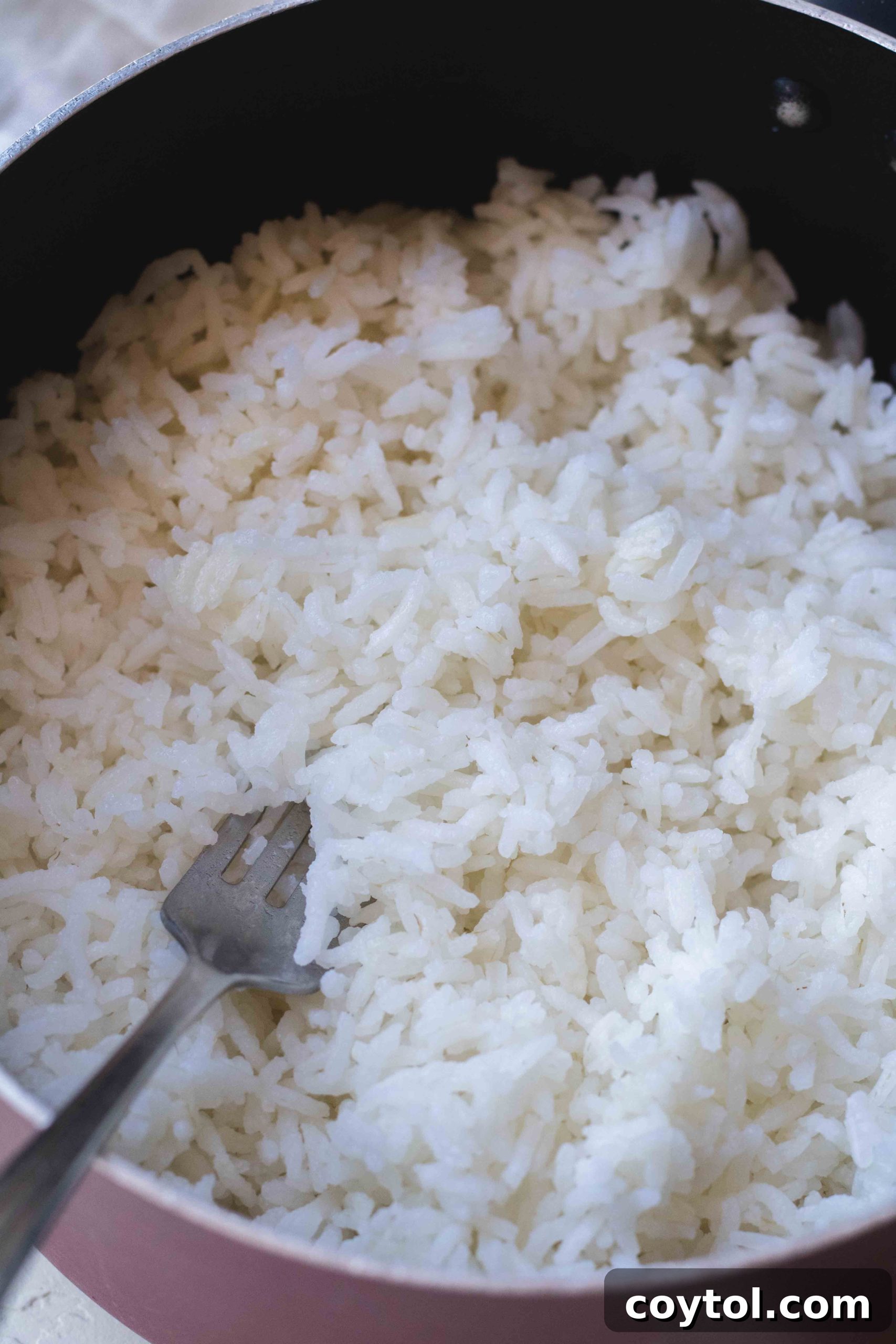 Serving bowl of fluffy white rice