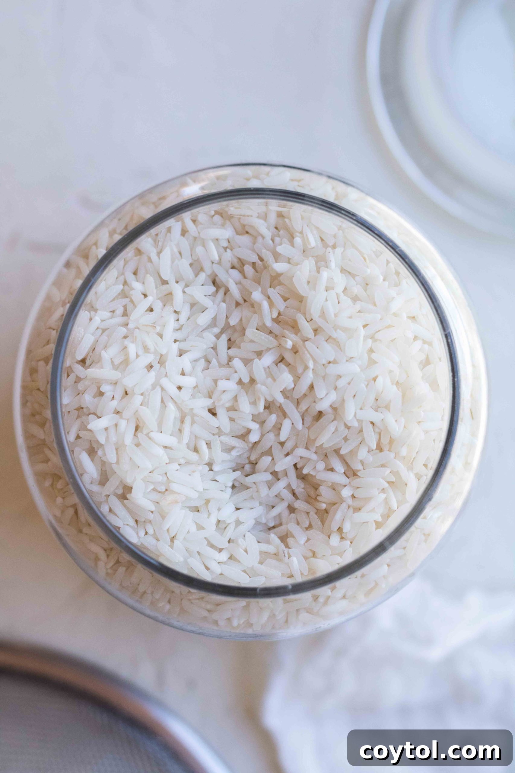Close-up of perfectly cooked white rice in a pot on the stovetop