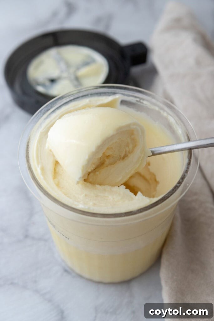 Ninja Creami Protein Ice Cream with Protein Powder scoop