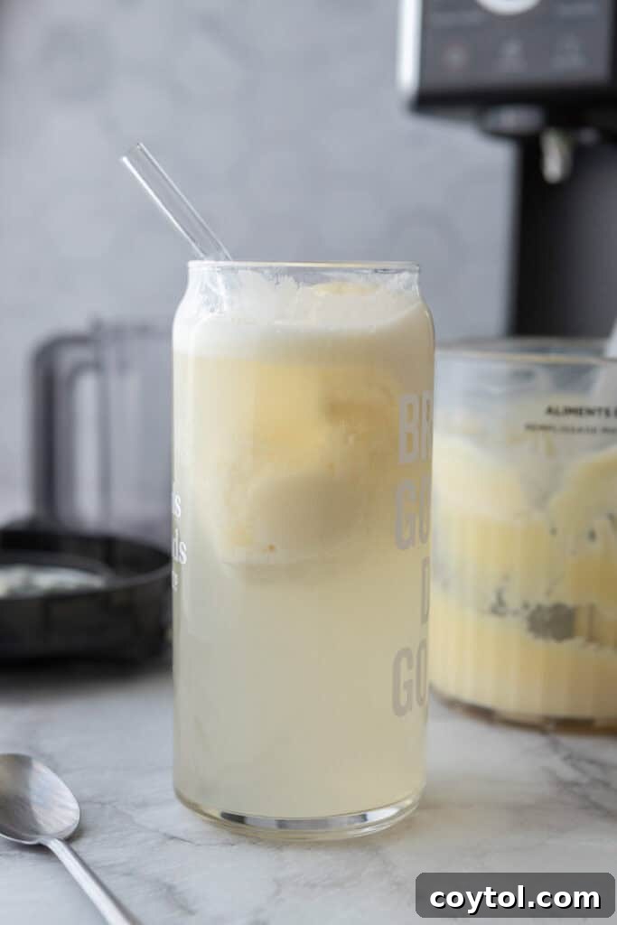 high protein ice cream float
