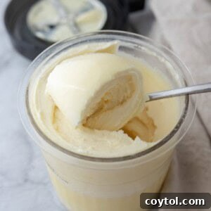 Ninja Creami Protein Ice Cream with Protein Powder scoop