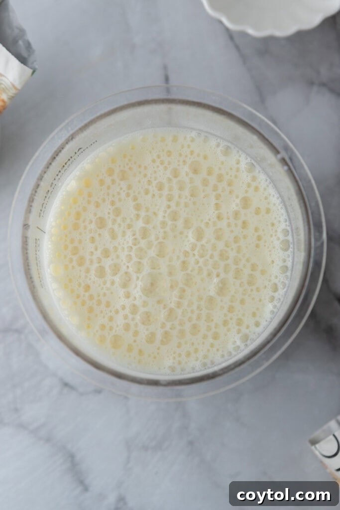 Ice cream base in the ninja creami pint