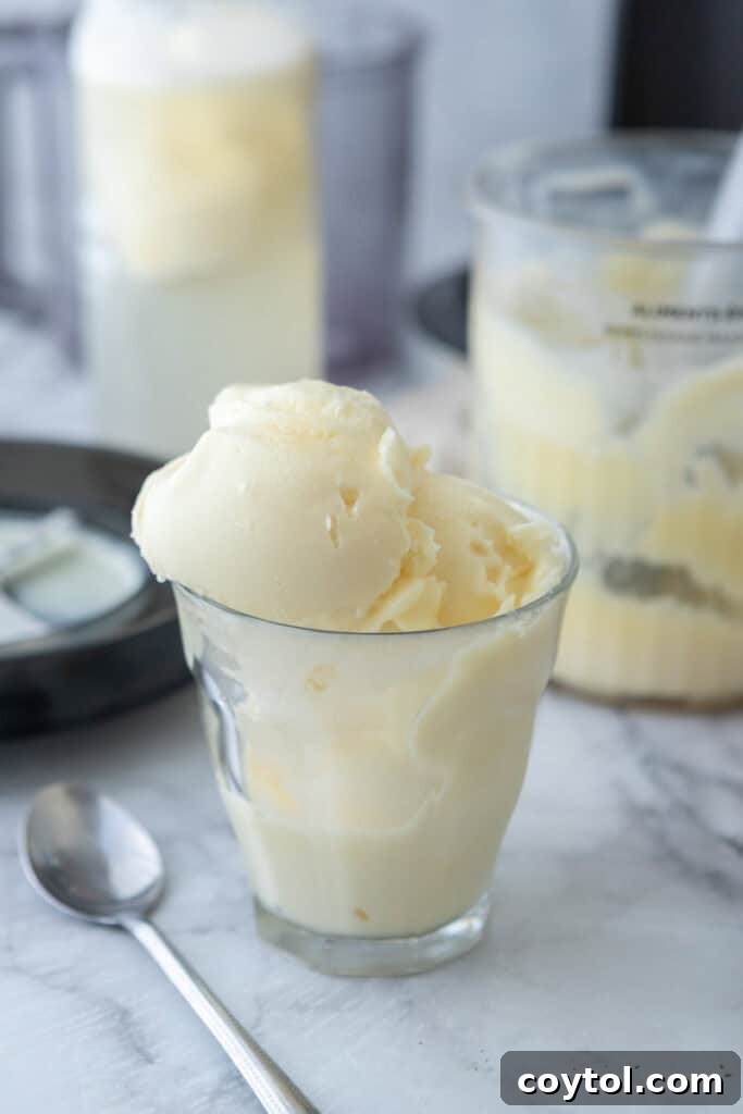 Protein powder ice cream in a cup