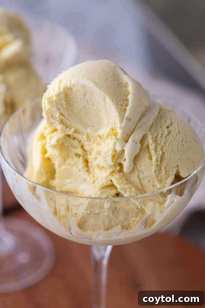Velvet Vanilla Custard Ice Cream Made Simple 2 homemade vanilla ice cream recipe in a cup, showcasing its creamy texture