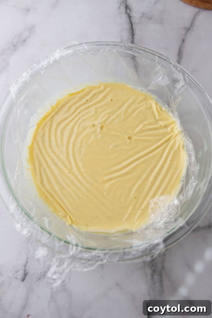 Velvet Vanilla Custard Ice Cream Made Simple 13 covered bowl of custard chilling in the refrigerator
