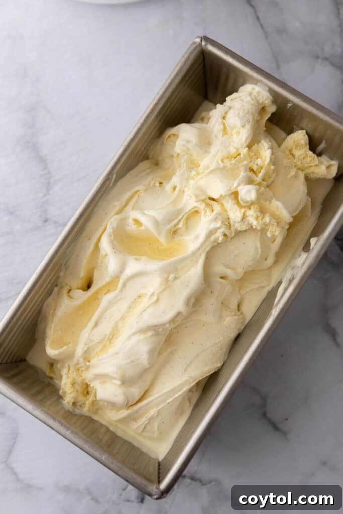 Velvet Vanilla Custard Ice Cream Made Simple 16 freshly churned ice cream being scooped into an airtight container