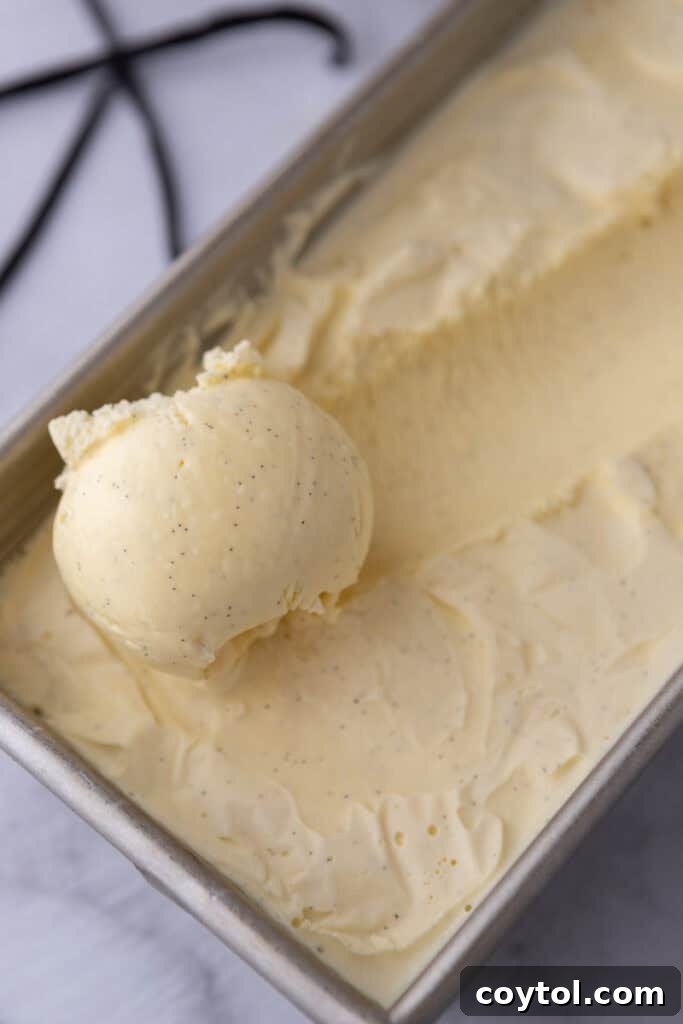 Velvet Vanilla Custard Ice Cream Made Simple 18 frozen homemade vanilla ice cream being scooped from the container