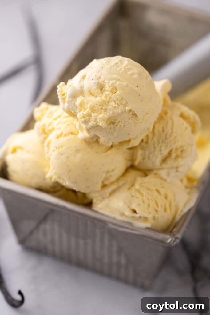 Velvet Vanilla Custard Ice Cream Made Simple 19 a large batch of homemade vanilla ice cream in a pan, ready to be scooped