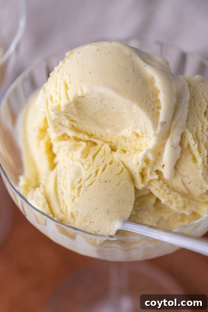 Velvet Vanilla Custard Ice Cream Made Simple 20 homemade vanilla ice cream served in a cup, garnished with a vanilla bean pod
