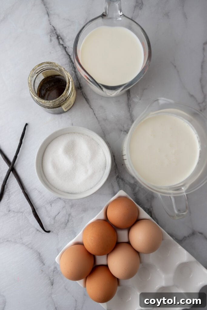 Velvet Vanilla Custard Ice Cream Made Simple 3 ingredients laid out for homemade vanilla ice cream recipe, ready for preparation