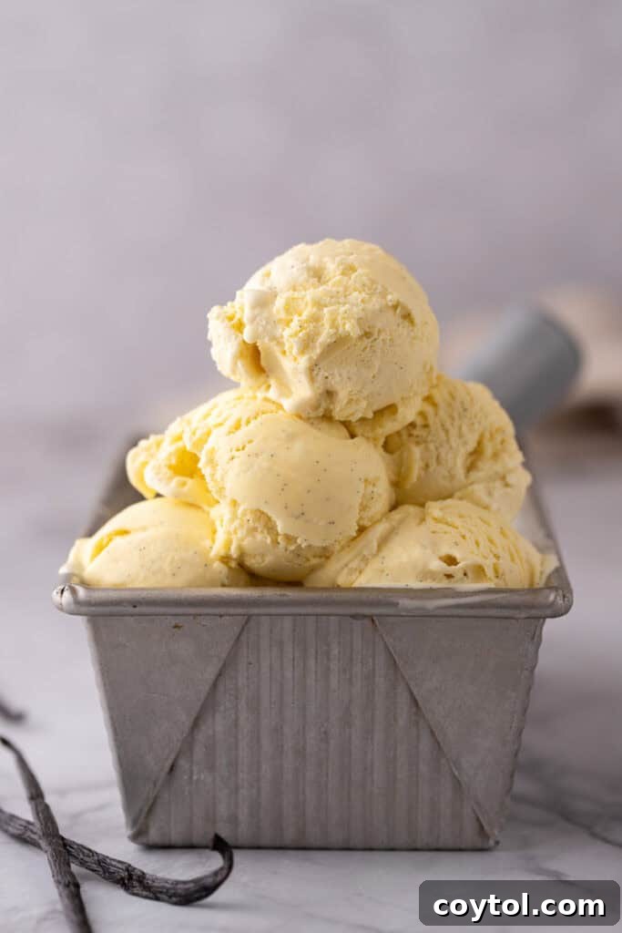 Velvet Vanilla Custard Ice Cream Made Simple 21 homemade vanilla ice cream in a container, showing the soft, creamy texture