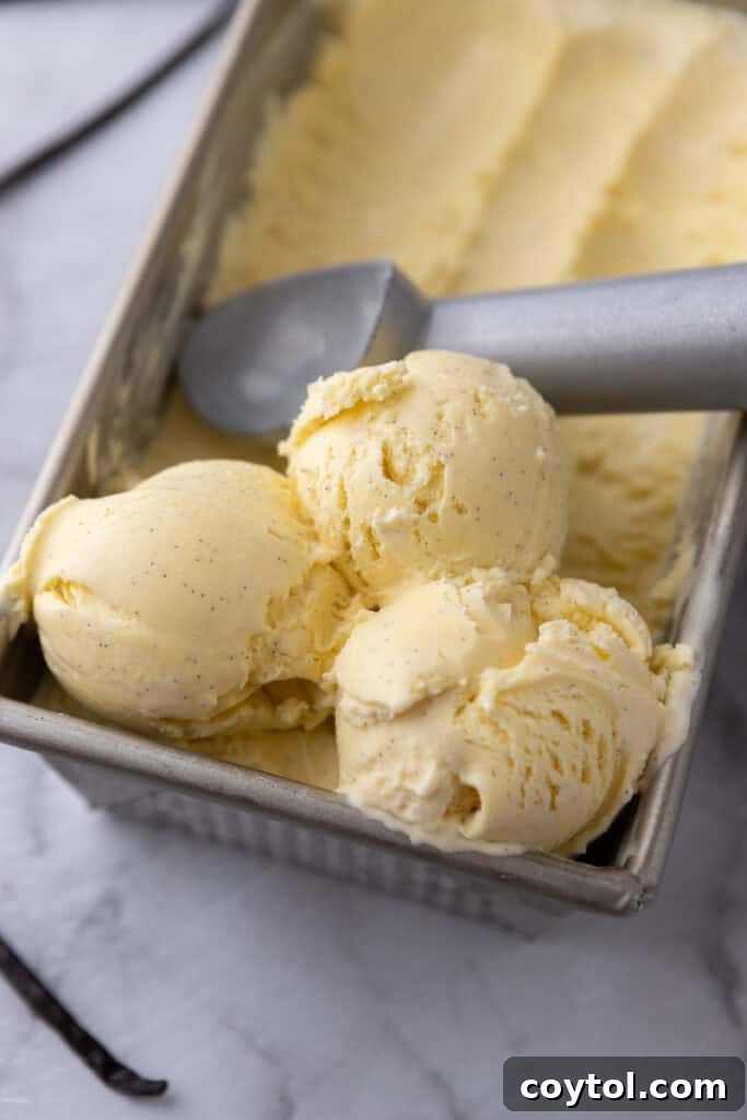 Velvet Vanilla Custard Ice Cream Made Simple 22 homemade vanilla ice cream with perfect scoops in a container