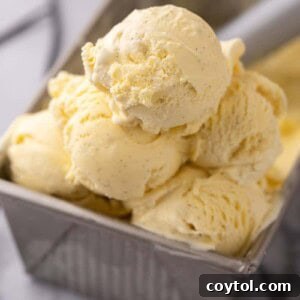 Velvet Vanilla Custard Ice Cream Made Simple 23 homemade vanilla ice cream recipe in a pan