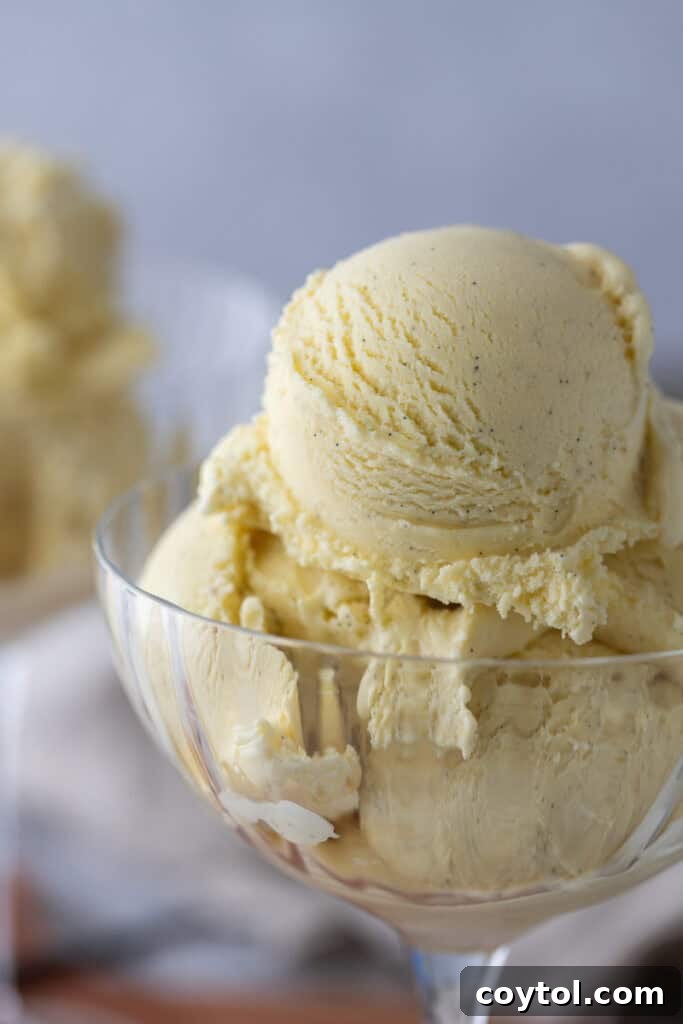 Velvet Vanilla Custard Ice Cream Made Simple 4 a single scoop of homemade vanilla ice cream in a clear cup, highlighting its creamy texture and vanilla specks