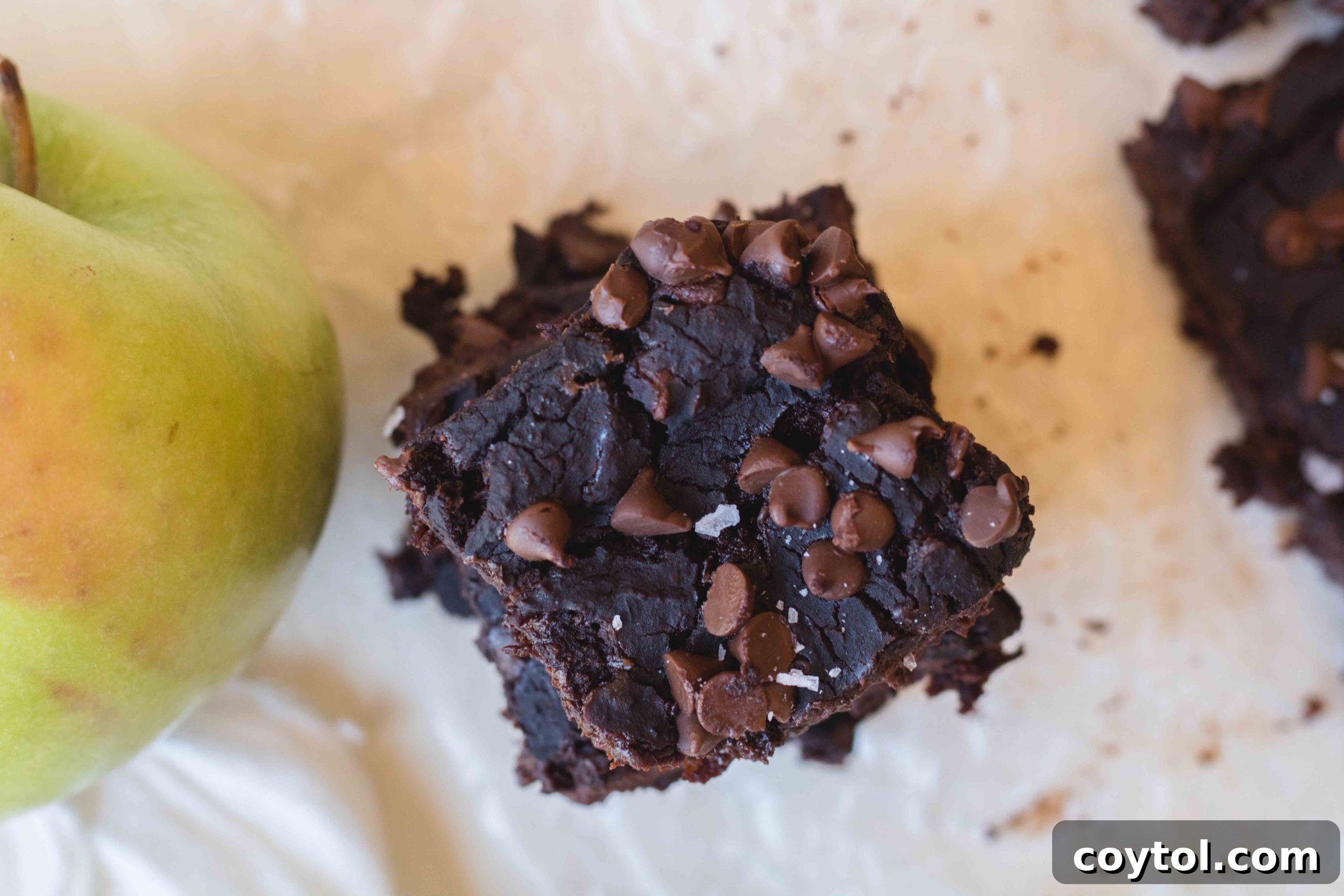 overhead shot of vegan brownies with chocolate chips