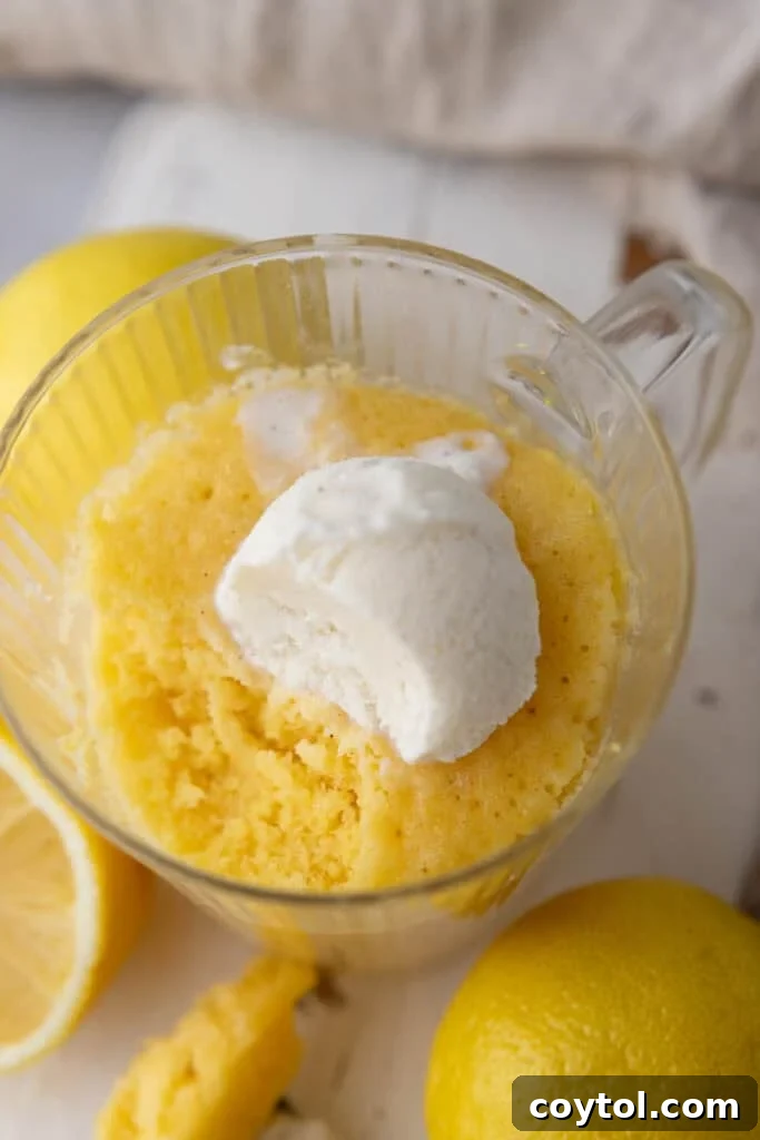 Speedy Lemon Mug Cake in Minutes 2 Lemon Mug Cake Recipe overhead shot