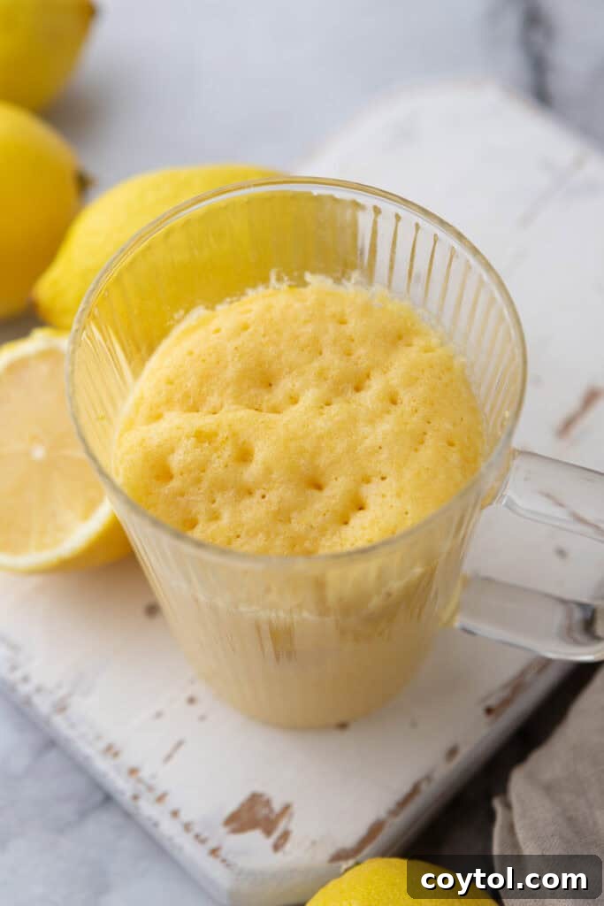Speedy Lemon Mug Cake in Minutes 10 lemon mug cake recipe overhead shot