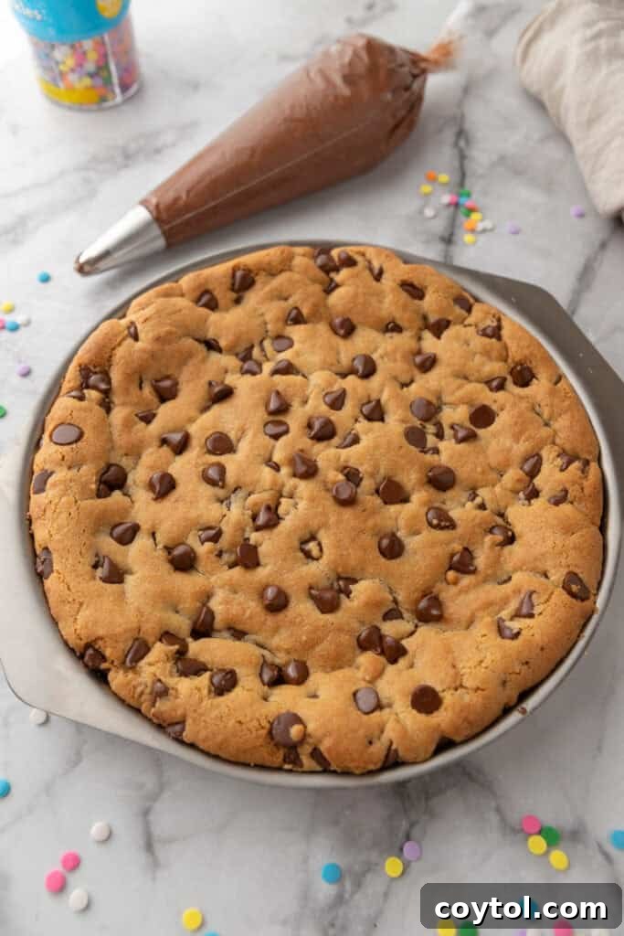 The Ultimate Homemade Chocolate Chip Cookie Cake 11 The freshly baked chocolate chip cookie cake cooling in the pan on a wire rack, with golden brown edges.