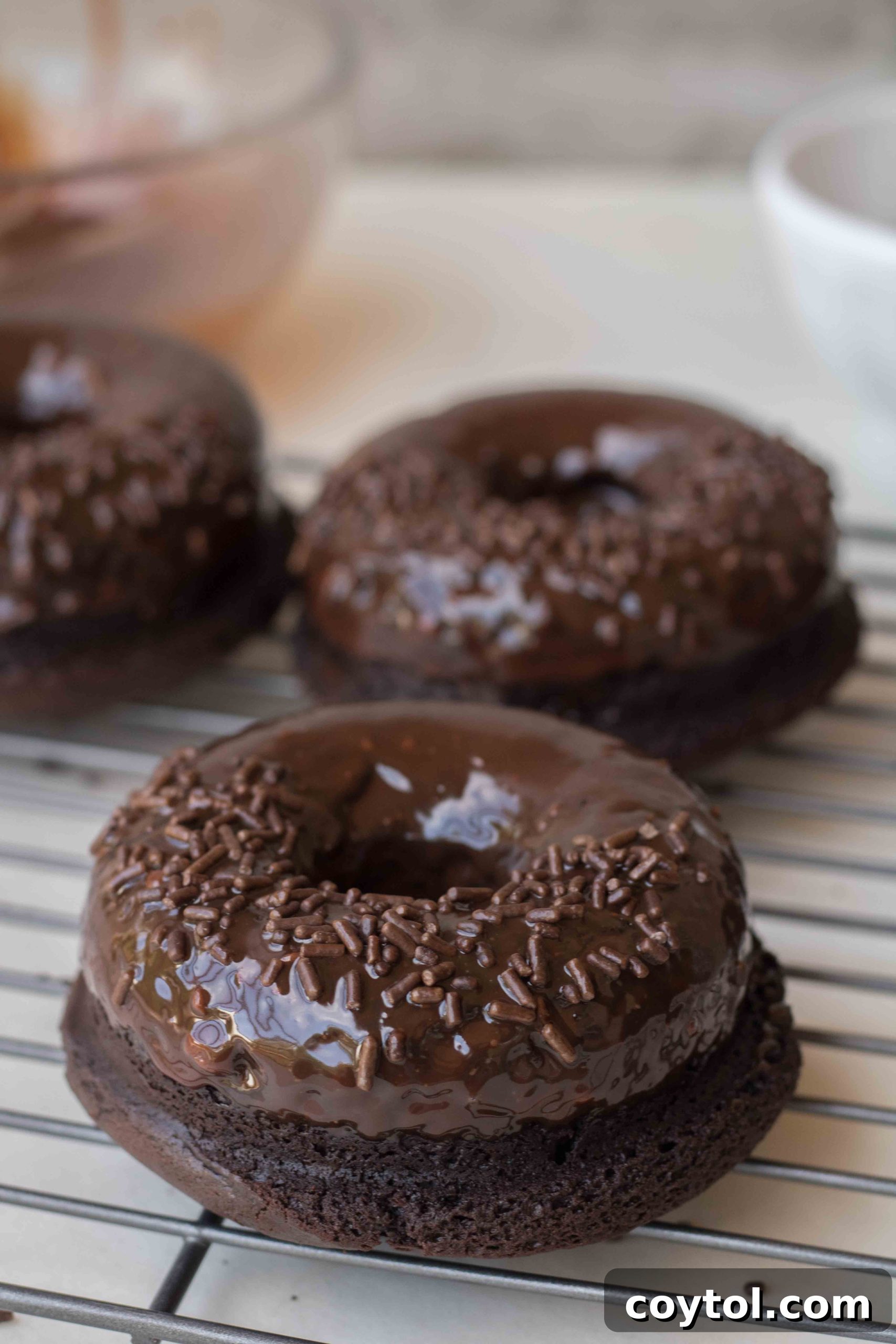 Homemade Baked Chocolate Doughnut Delights 2 Baked Chocolate Donut Recipe