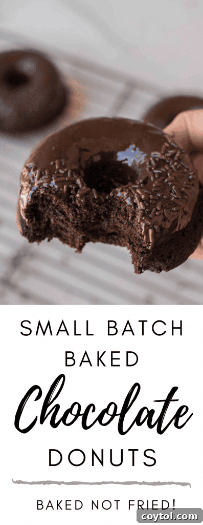 Homemade Baked Chocolate Doughnut Delights 10 Small batch baked chocolate donuts for Pinterest