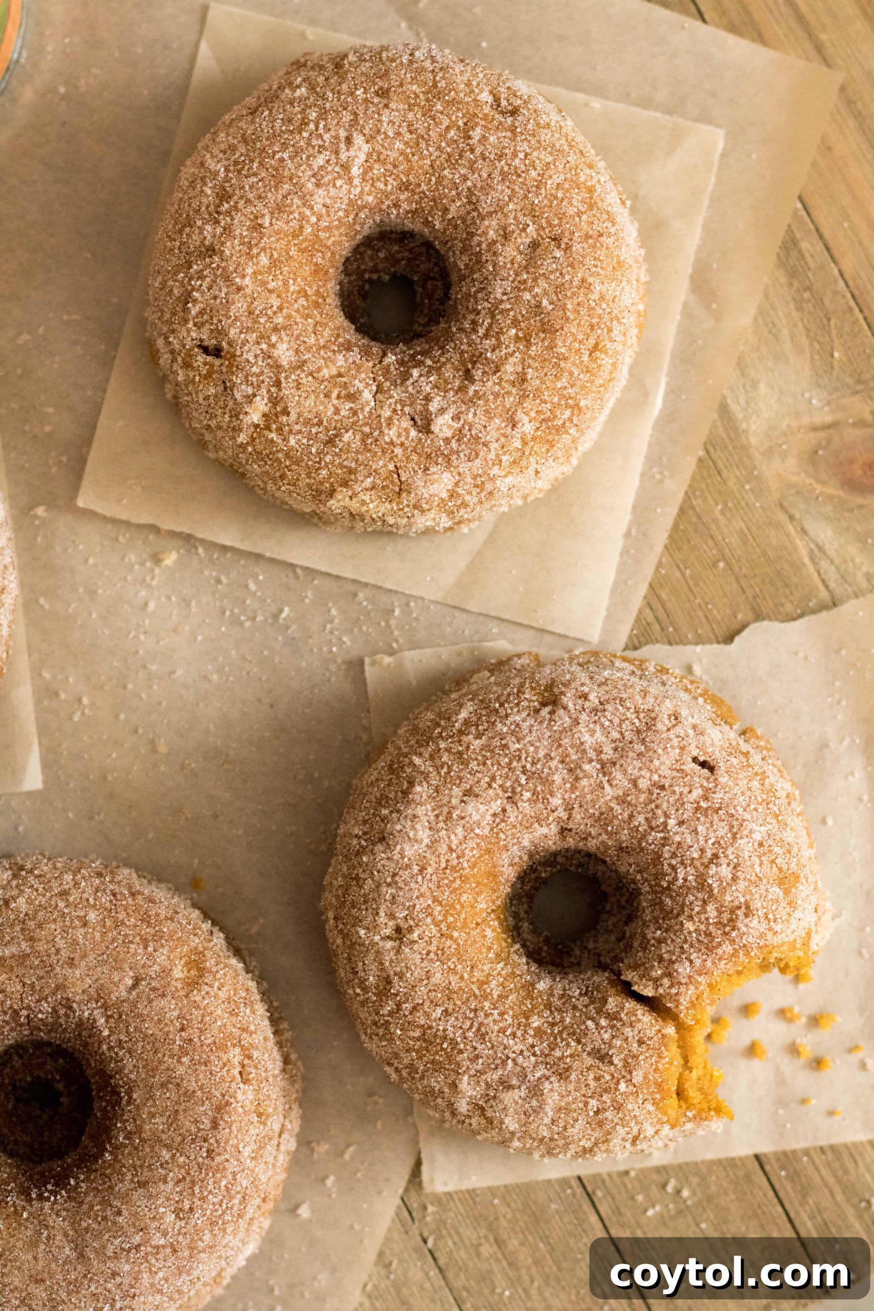 Homemade Baked Chocolate Doughnut Delights 3 Small Batch Baked Donut Recipe