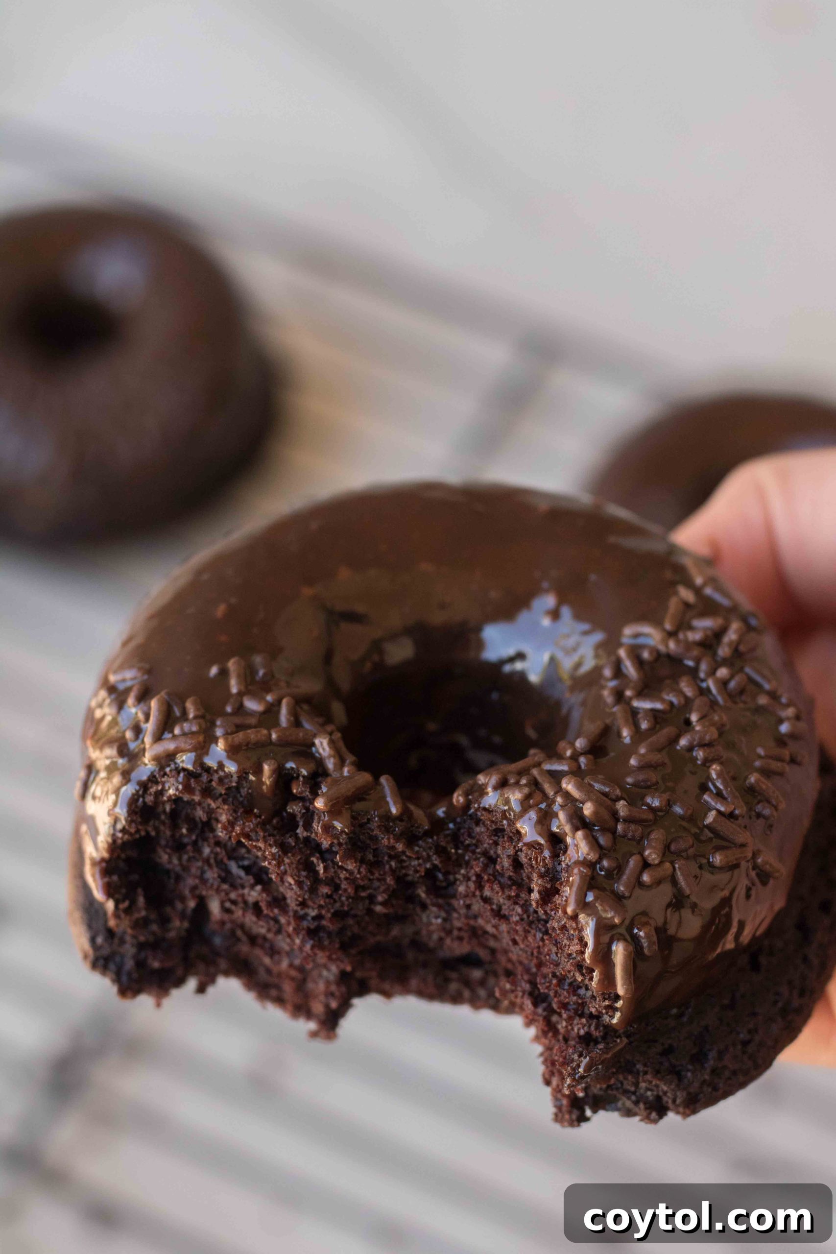 Homemade Baked Chocolate Doughnut Delights 4 Ingredients for chocolate baked donuts