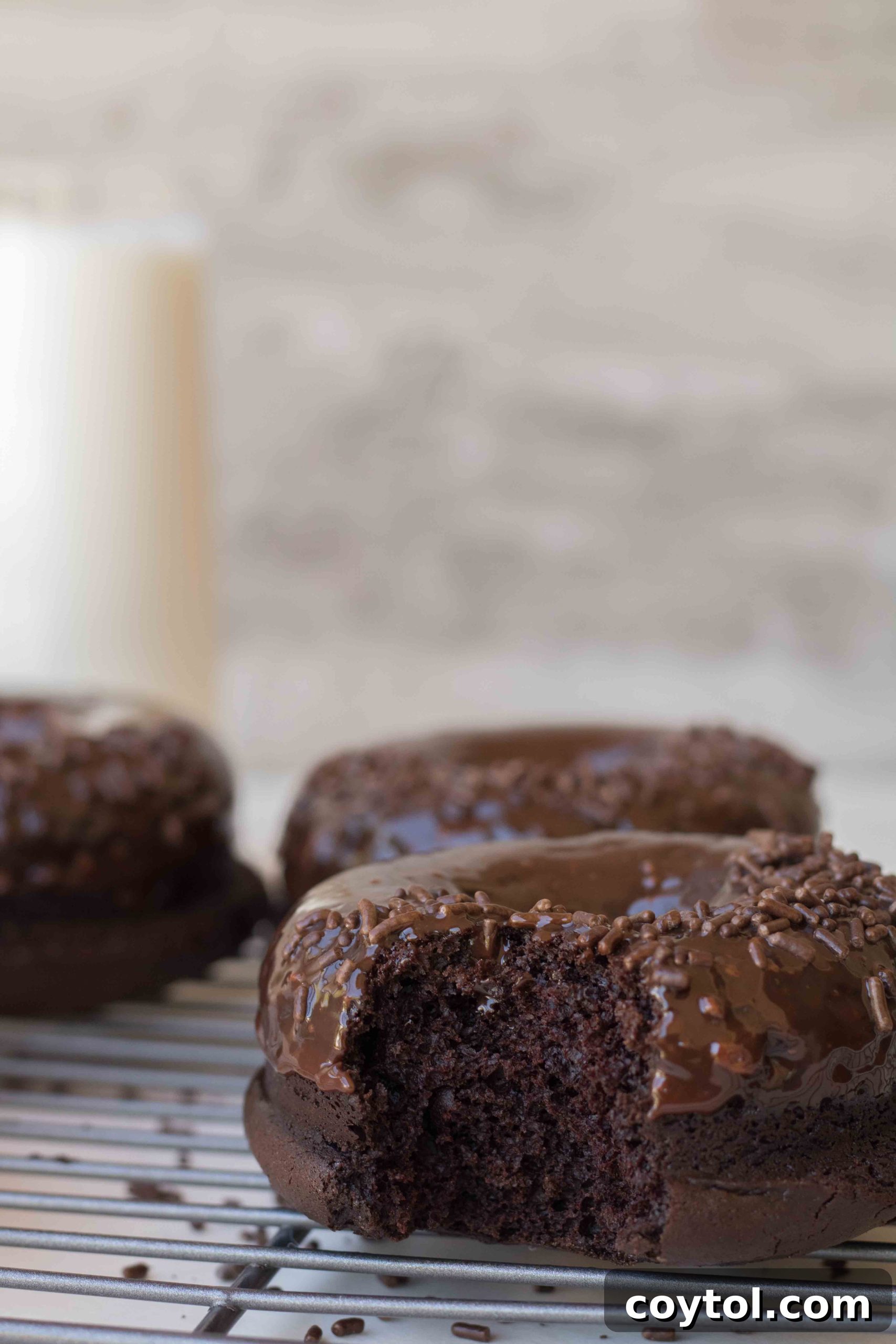 Homemade Baked Chocolate Doughnut Delights 8 Glazed baked chocolate donuts