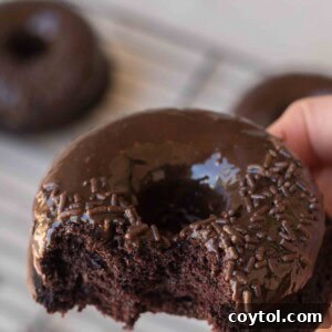 Homemade Baked Chocolate Doughnut Delights 9 chocolate baked donuts recipe
