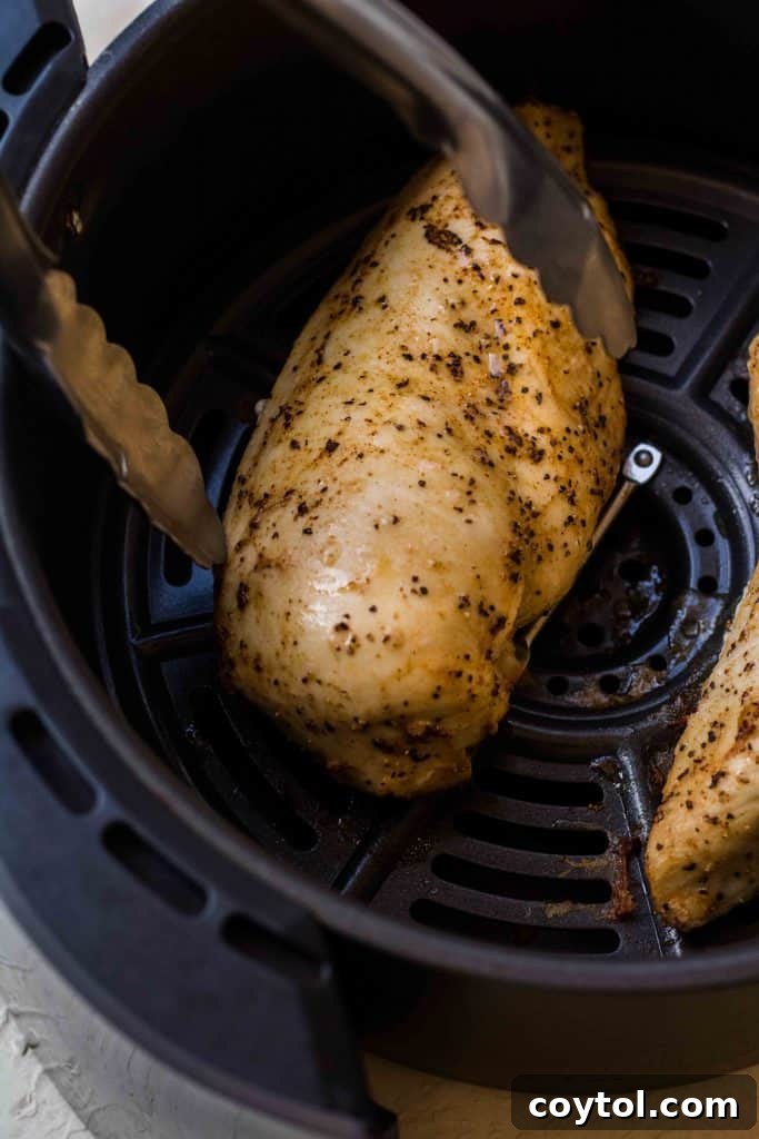 Placing seasoned chicken breasts into the air fryer basket.