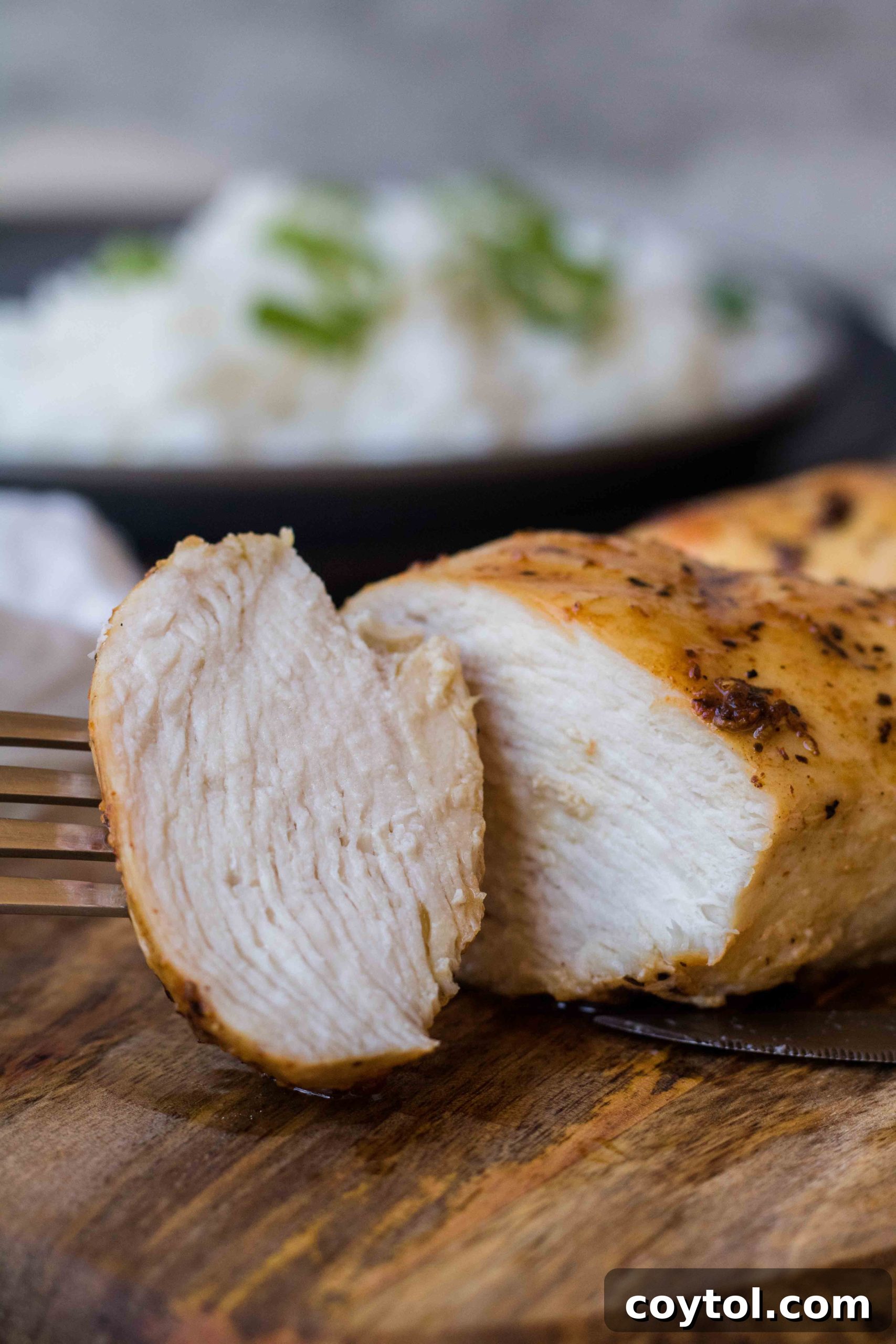 Close-up of a juicy air fryer chicken breast, perfectly cooked.