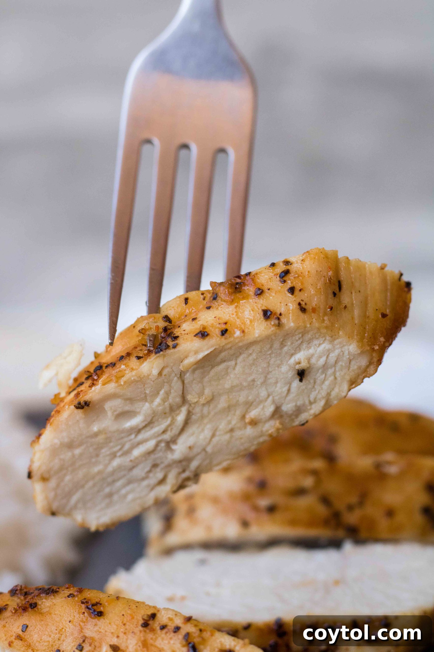 Cooking perfectly seasoned chicken breast in an air fryer basket