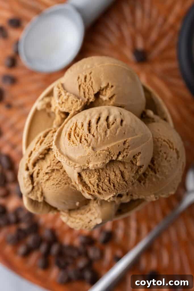 espresso coffee ice cream recipe in a cup overhead shot