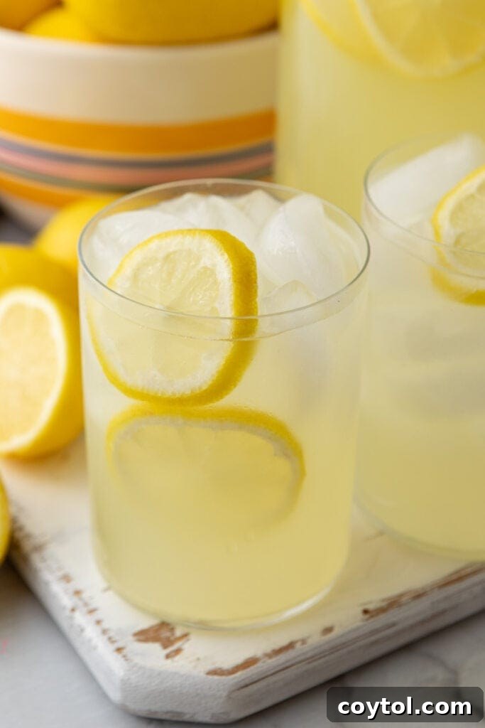Two glasses of homemade lemonade with lemon slices, ice, and mint