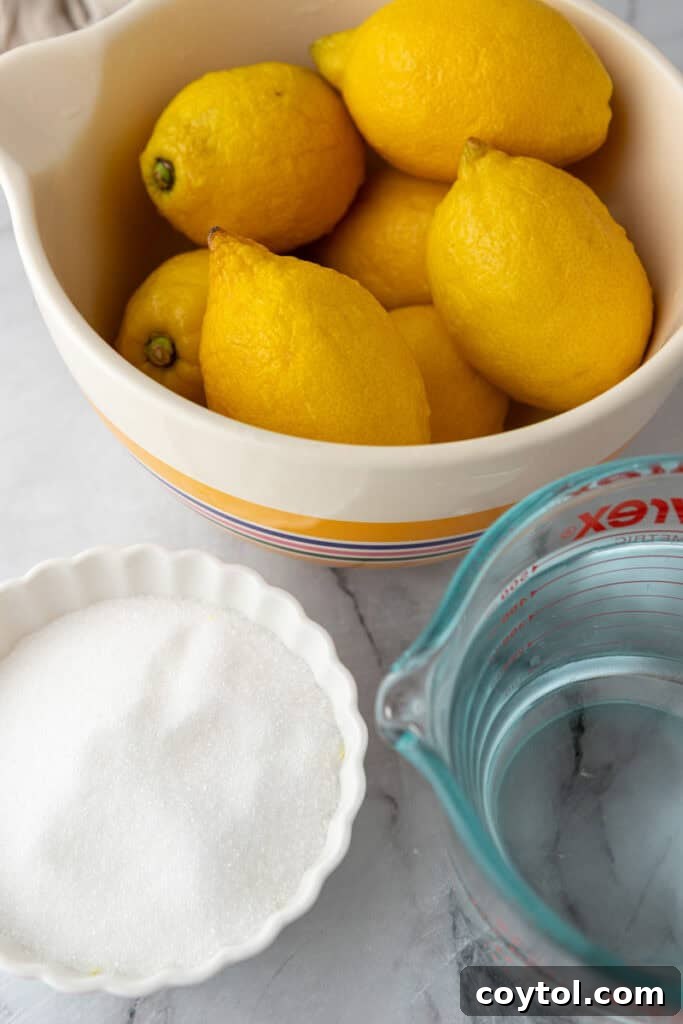 Fresh lemons, sugar, and water as ingredients for homemade lemonade