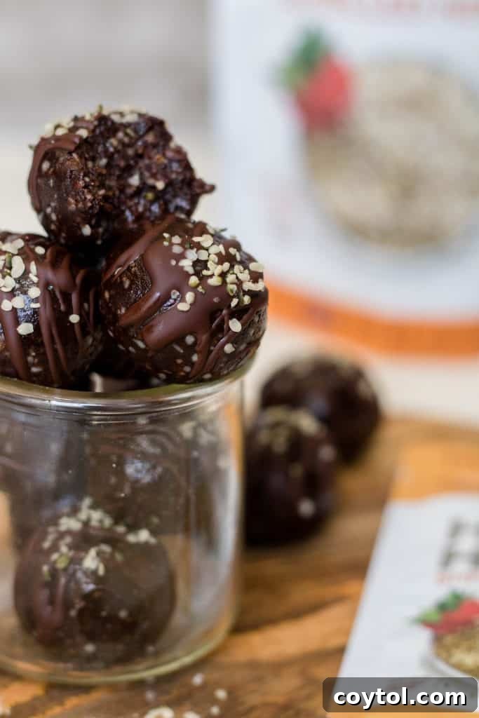chocolate vegan bliss balls