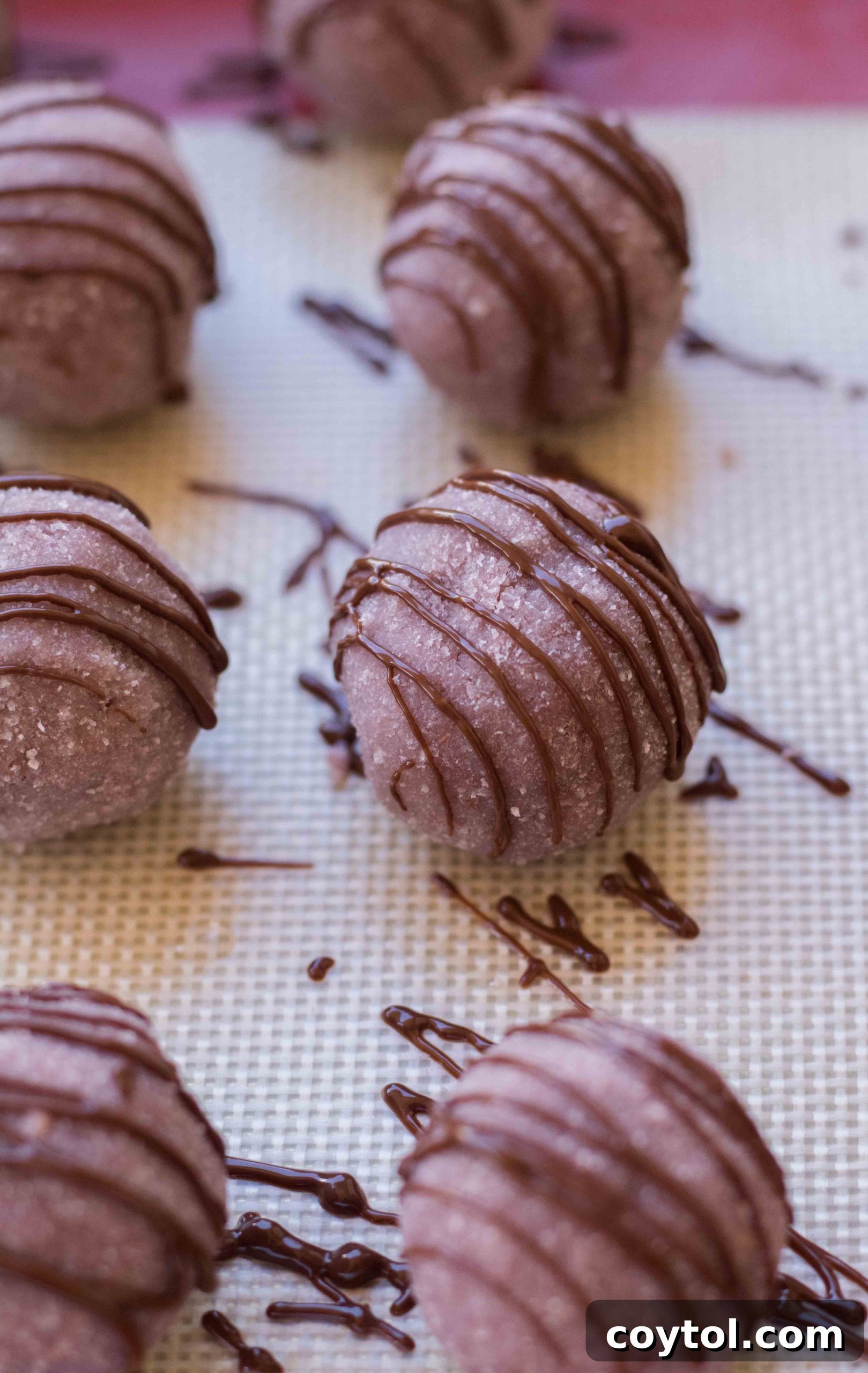 no bake coconut balls with raspberry