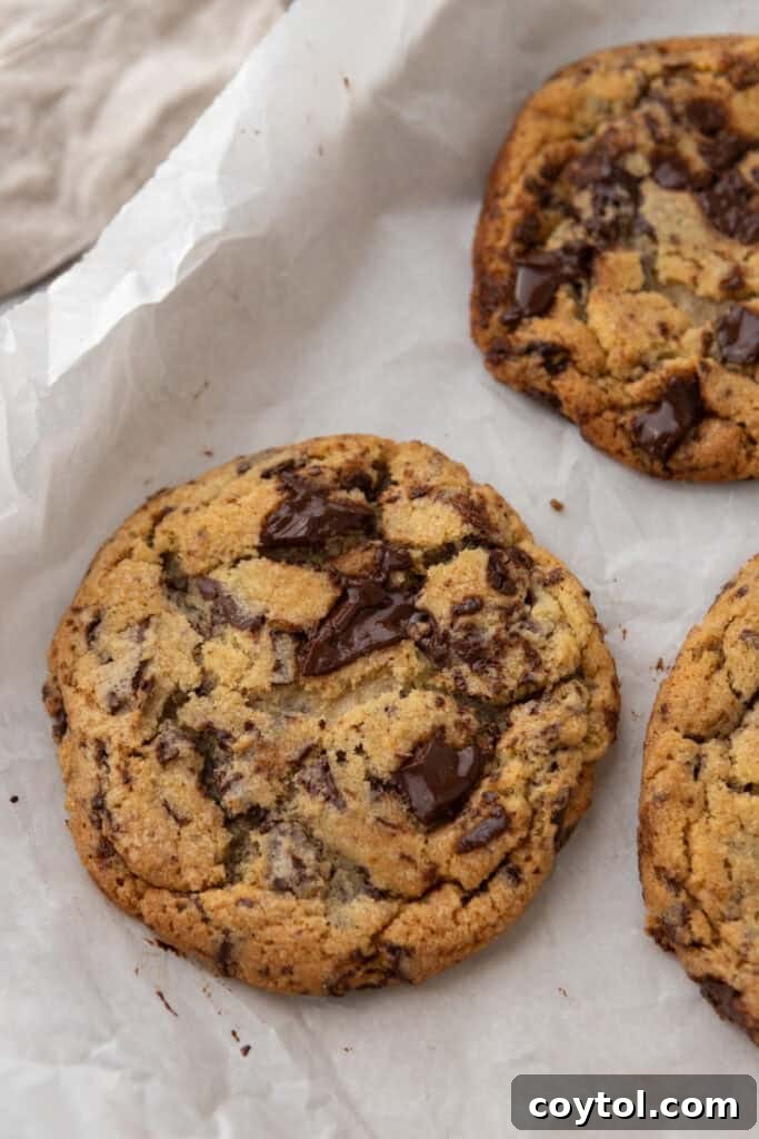 The Ultimate Jacques Torres Inspired Chocolate Chip Cookies 12 baked goods resting on a baking sheet