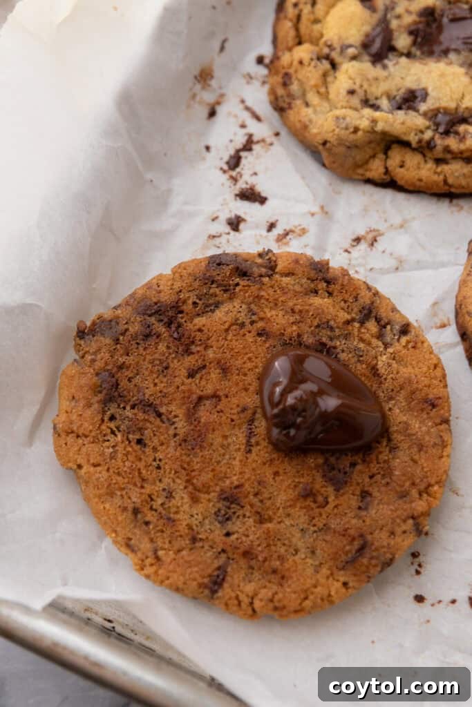 The Ultimate Jacques Torres Inspired Chocolate Chip Cookies 13 baked goods resting on a baking sheet