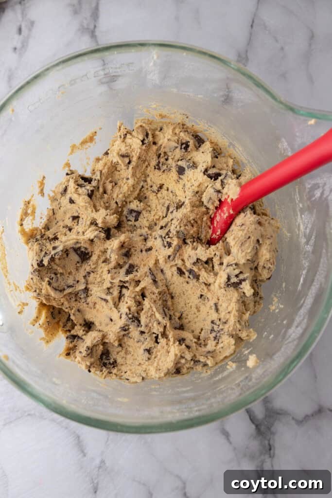 The Ultimate Jacques Torres Inspired Chocolate Chip Cookies 9 mixed ingredients in a bowl
