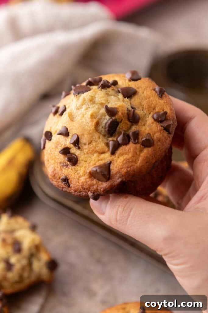 Bake Bakery-Perfect Banana Chocolate Chip Muffins 2 Banana Chocolate Chip Muffins held up by a hand