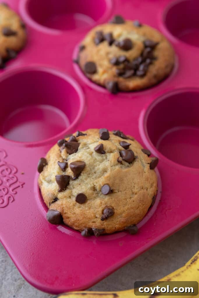 Bake Bakery-Perfect Banana Chocolate Chip Muffins 11 baked batter in liners