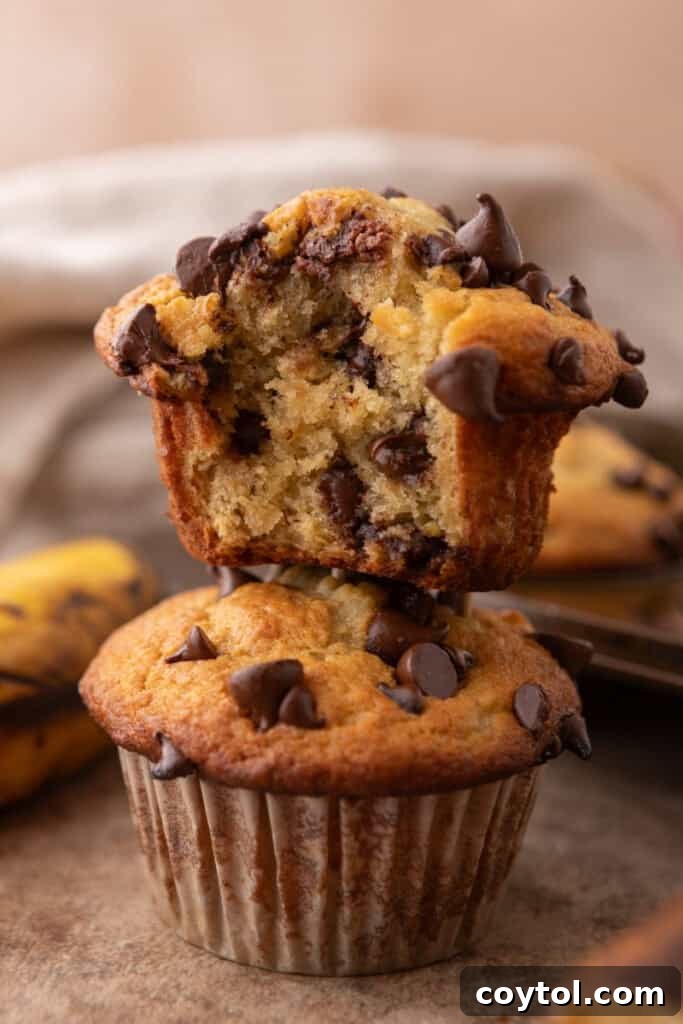 Bake Bakery-Perfect Banana Chocolate Chip Muffins 12 Banana Chocolate Chip Muffins stacked on top of each other